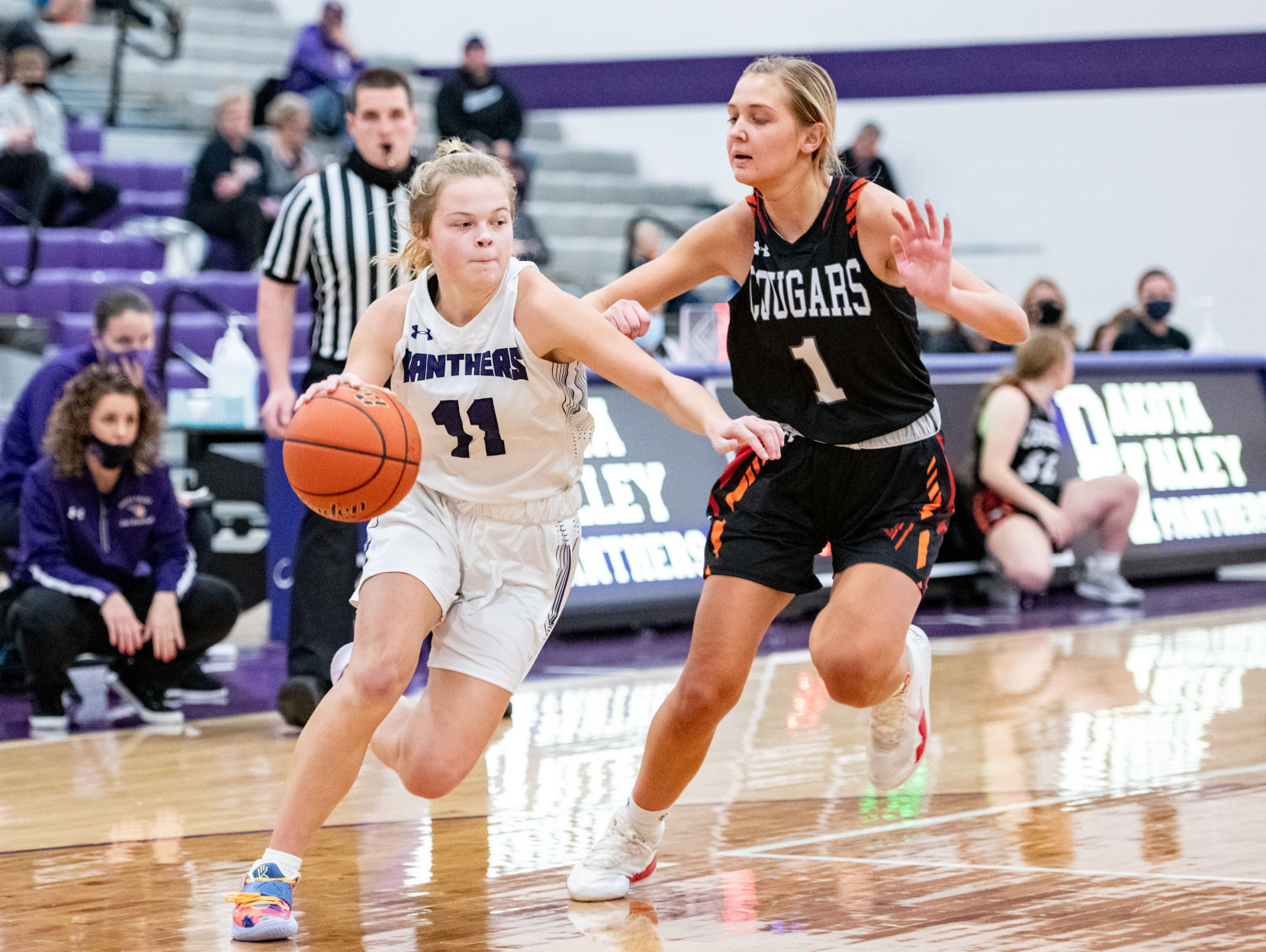 Dakota Valley vs Viborg-Hurley girls basketball